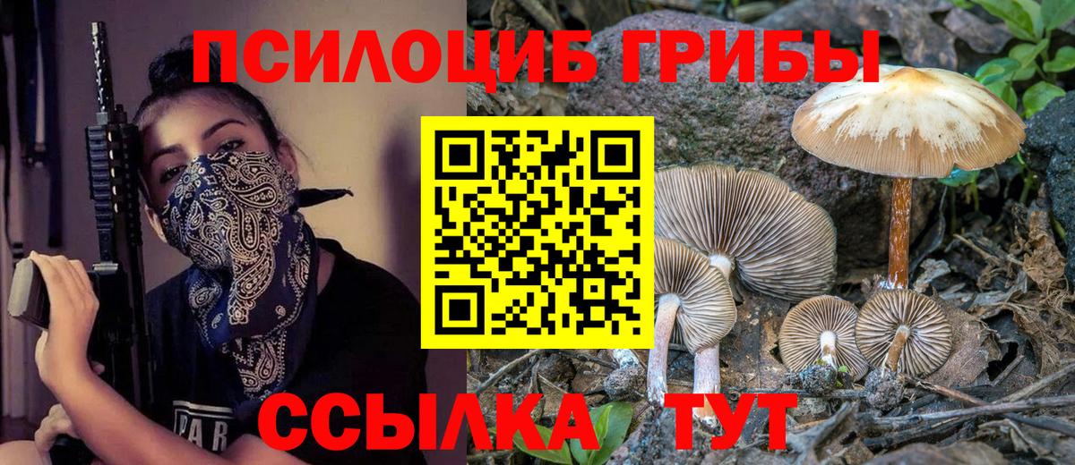 Полевской  Псилоцибиновые грибы мухоморы  Вход с VPN 